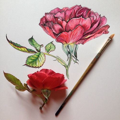 45 Creative Tattoo Drawings For Your Inspiration - Page 20 of 45 ...